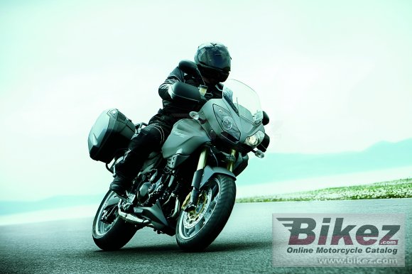 triumph tiger se